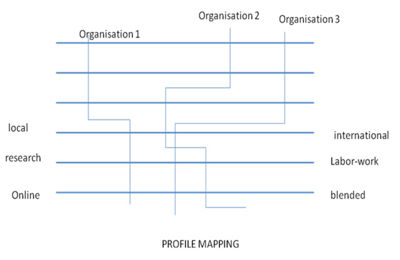 AKK profile-mapping.jpg